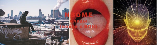 mdpv Новодвинск