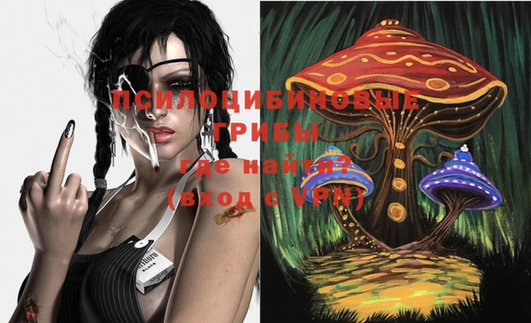 MESCALINE Новозыбков